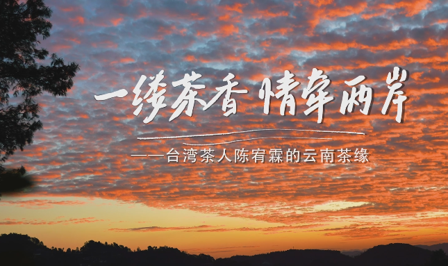 QQ20241211-102045.png