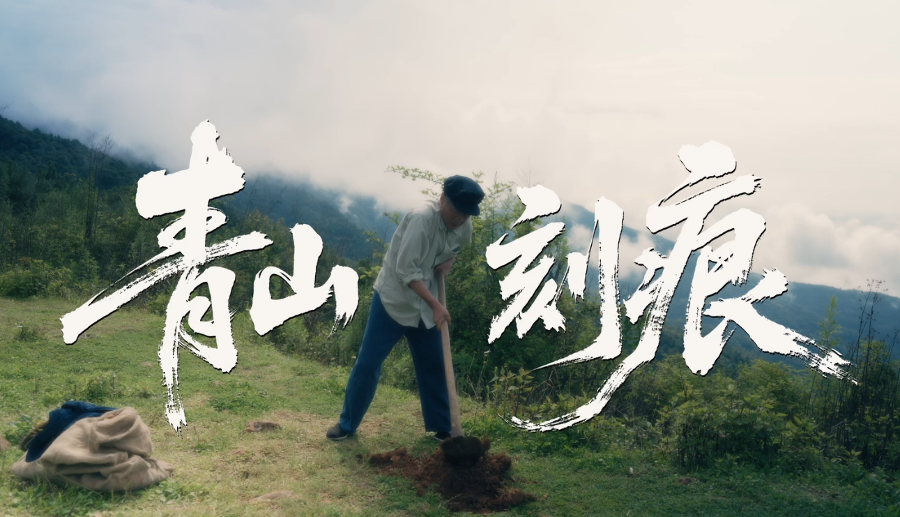 青山.png